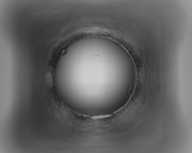 X0000113951493200910021455