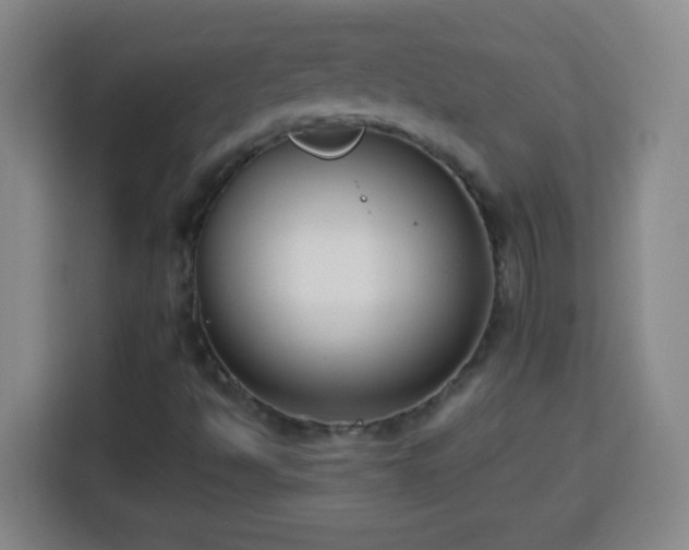 X0000113951494200910021455
