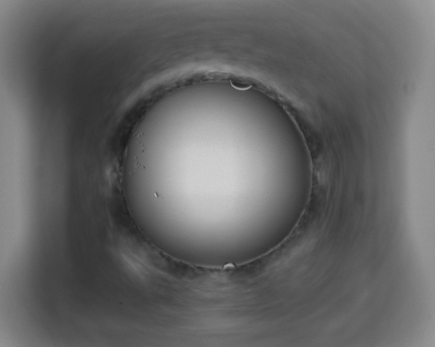 X0000113951495200910021455