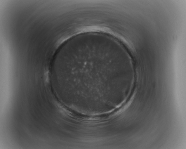 X0000113951497200910021455