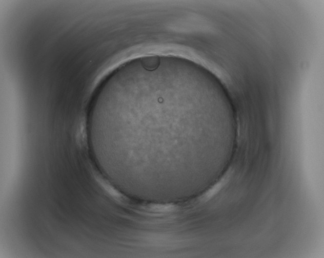 X0000113951498200910021455