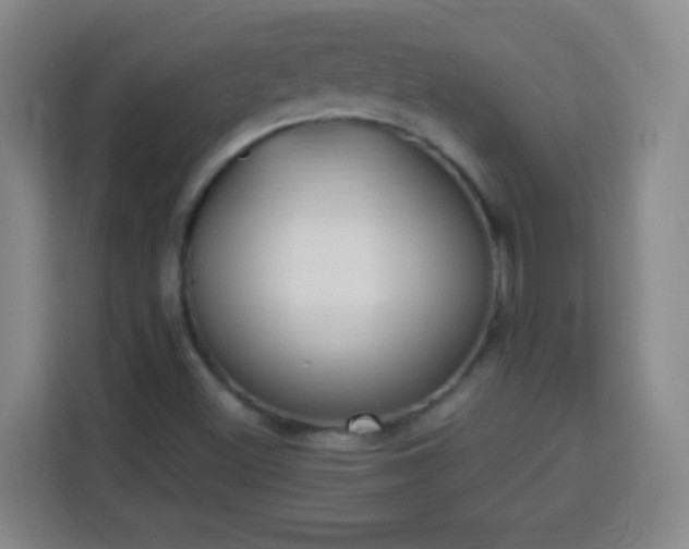 X0000113951500200910021455
