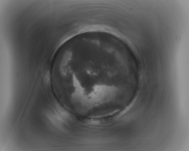 X0000113951505200910021455