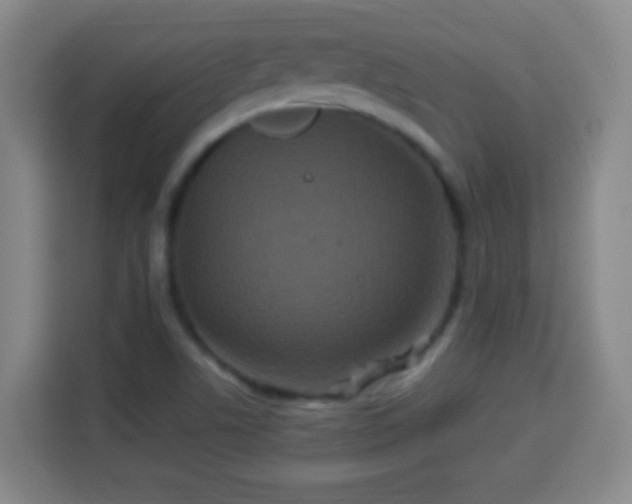 X0000113951506200910021455