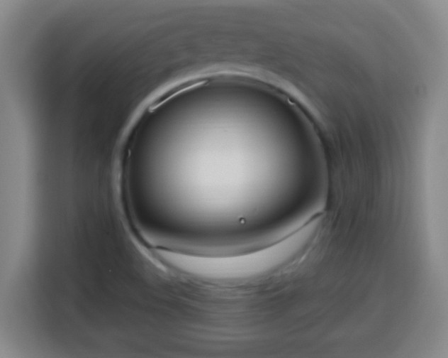 X0000113951508200910021455