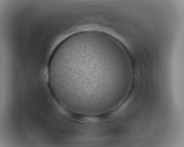 X0000113951509200910021455