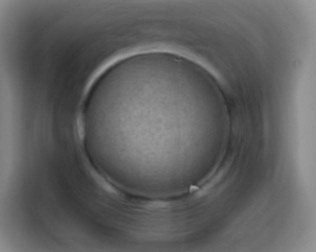 X0000113951510200910021455