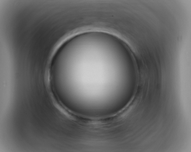 X0000113951511200910021455