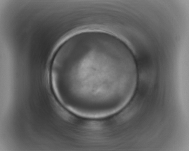 X0000113951514200910021455