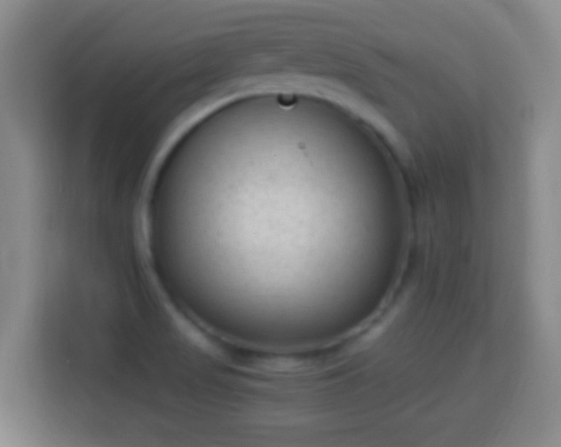 X0000113951517200910021455