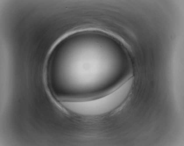 X0000113951518200910021455