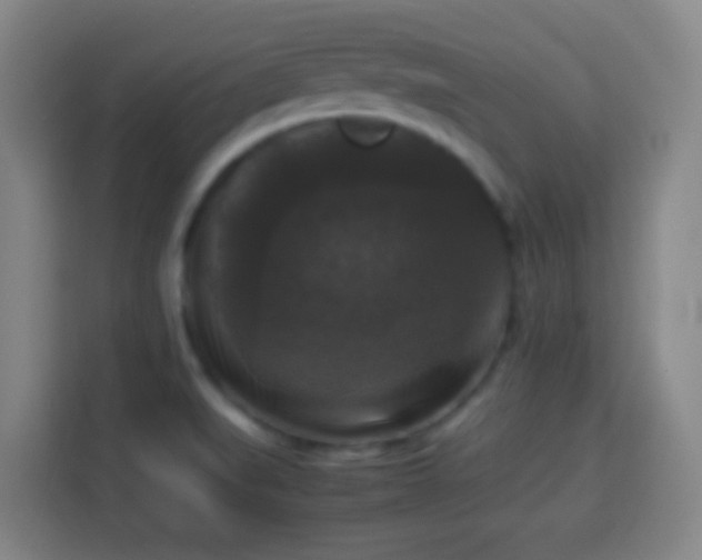 X0000113951519200910021455