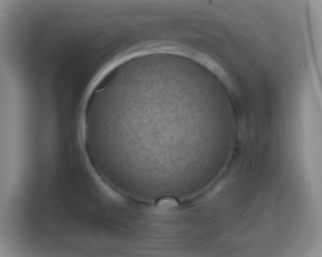X0000113951520200910021455