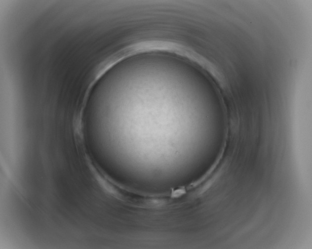 X0000113951521200910021455