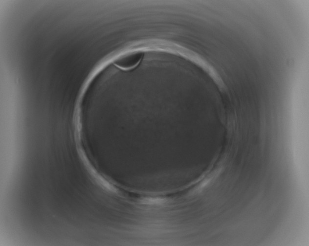 X0000113951522200910021455