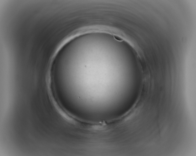 X0000113951523200910021455