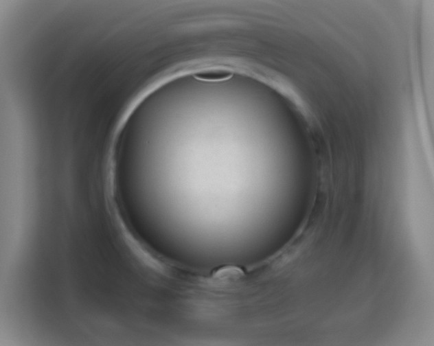X0000113951524200910021455