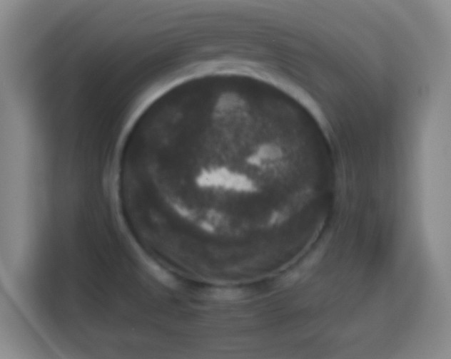 X0000113951525200910021455