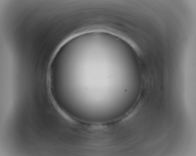 X0000113951526200910021455