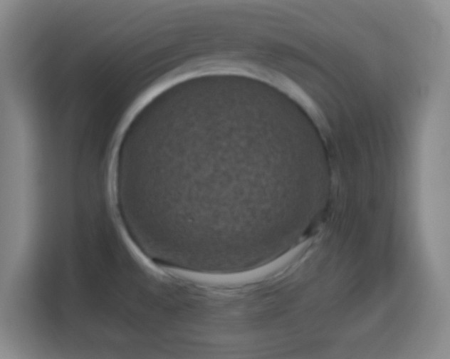 X0000113951528200910021455