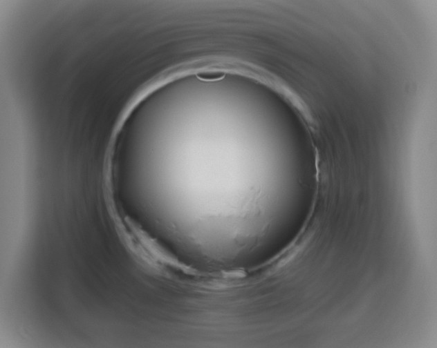 X0000113951530200910021455