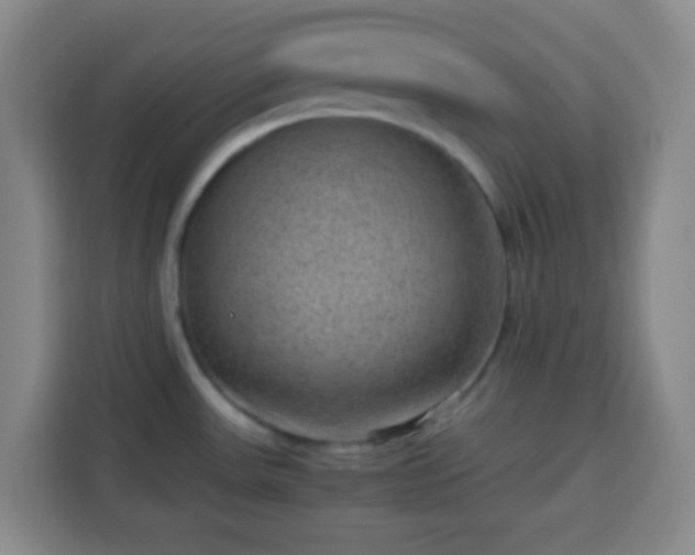 X0000113951531200910021455