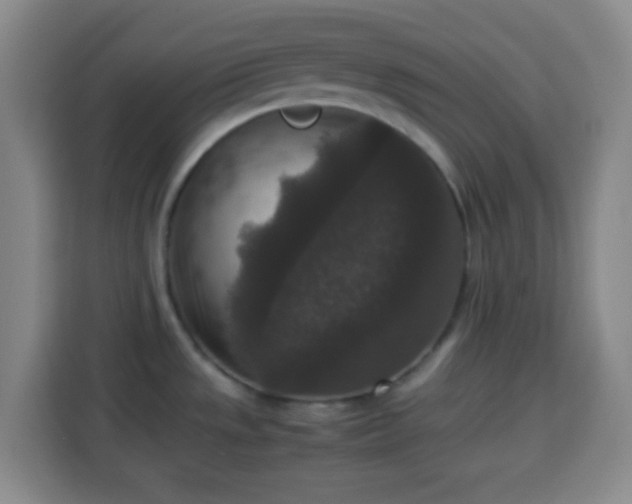 X0000113951533200910021456