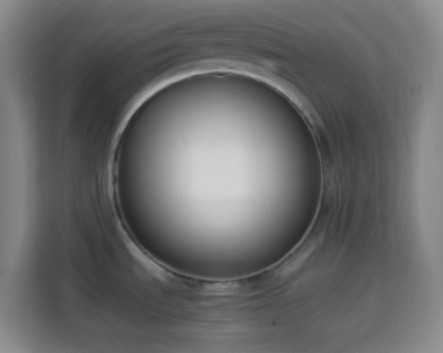 X0000113951535200910021456