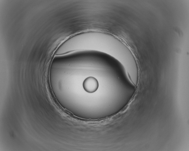 X0000113950001200910091618