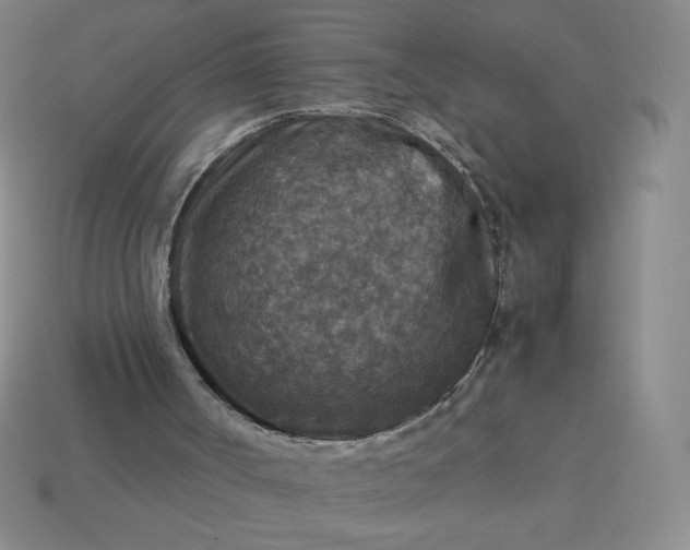 X0000113950002200910091618