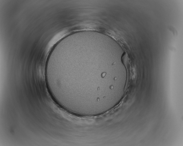 X0000113950004200910091618