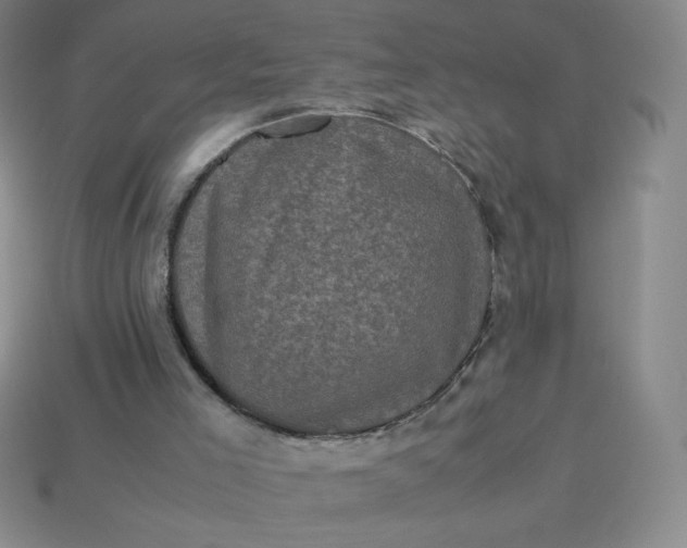 X0000113950005200910091618