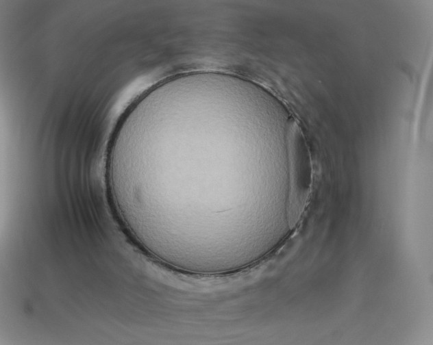 X0000113950006200910091618