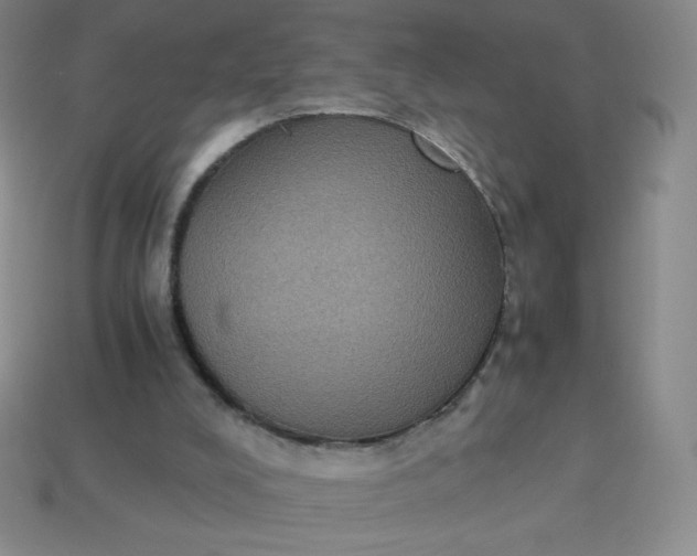 X0000113950008200910091618