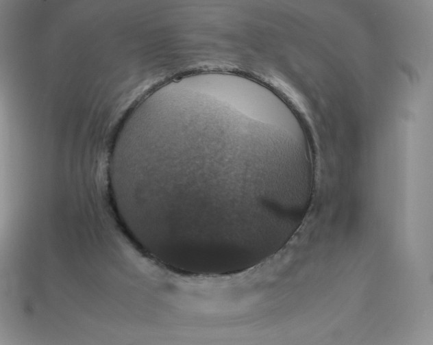 X0000113950009200910091618