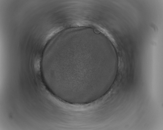 X0000113950010200910091618