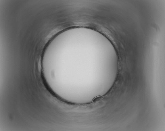 X0000113950011200910091618