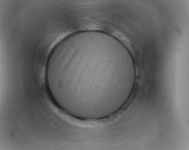 X0000113950012200910091618