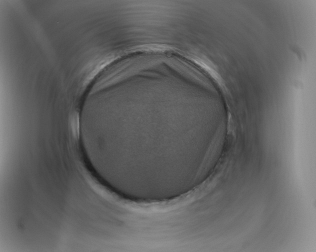 X0000113950013200910091618