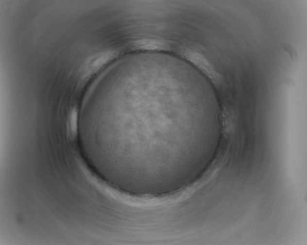 X0000113950014200910091618