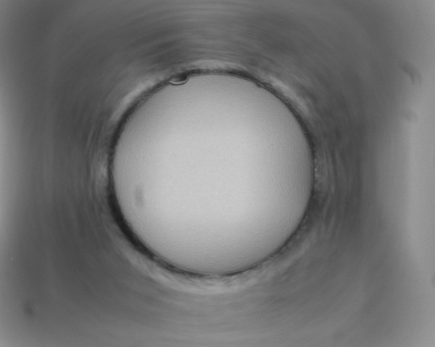 X0000113950015200910091618
