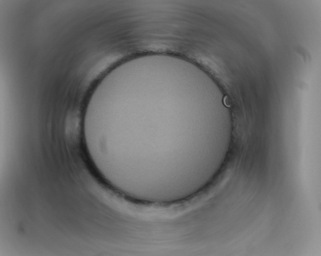 X0000113950016200910091618