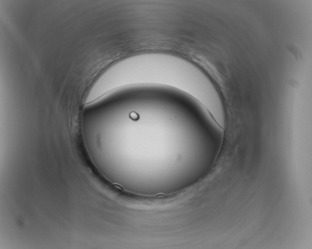 X0000113950017200910091618