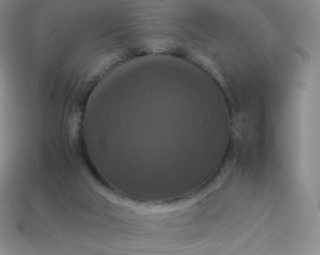 X0000113950018200910091618
