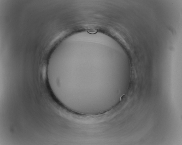 X0000113950019200910091618