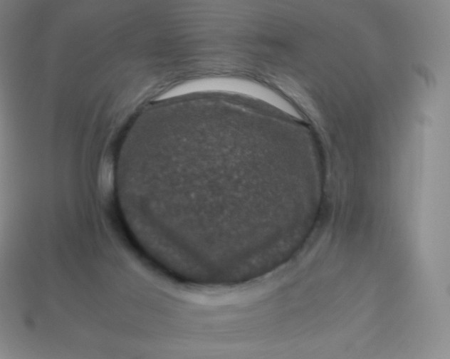 X0000113950021200910091618