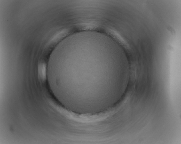 X0000113950022200910091618