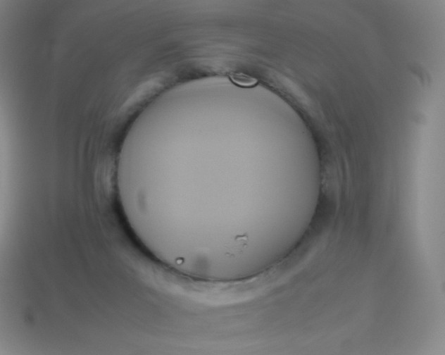 X0000113950023200910091618