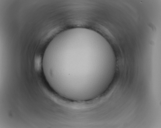 X0000113950024200910091618