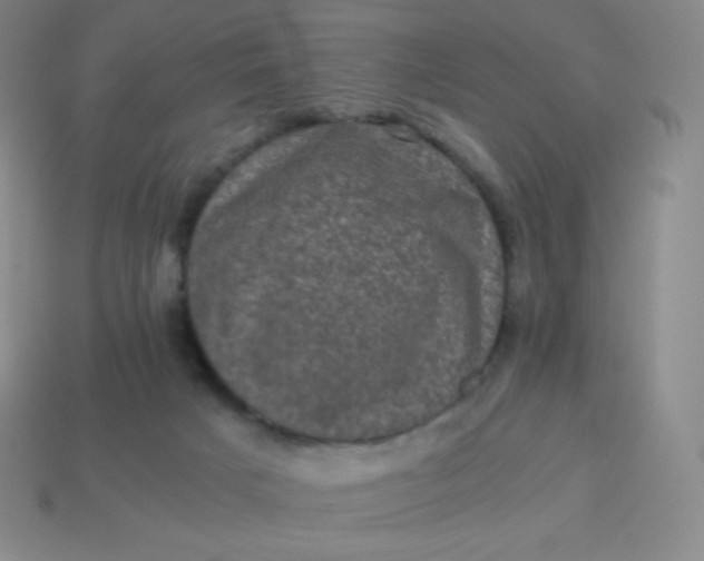 X0000113950025200910091618